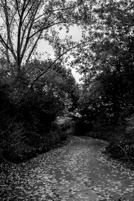 Walk Path